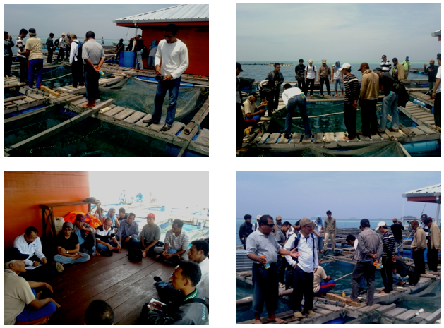 Kunjungan Rombongan LPPM IPB dan CSR ANTAM Halmahera Tengah di Balai Sea Farming Semak Daun